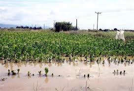 Η Ηλεία έγινε… Βενετία