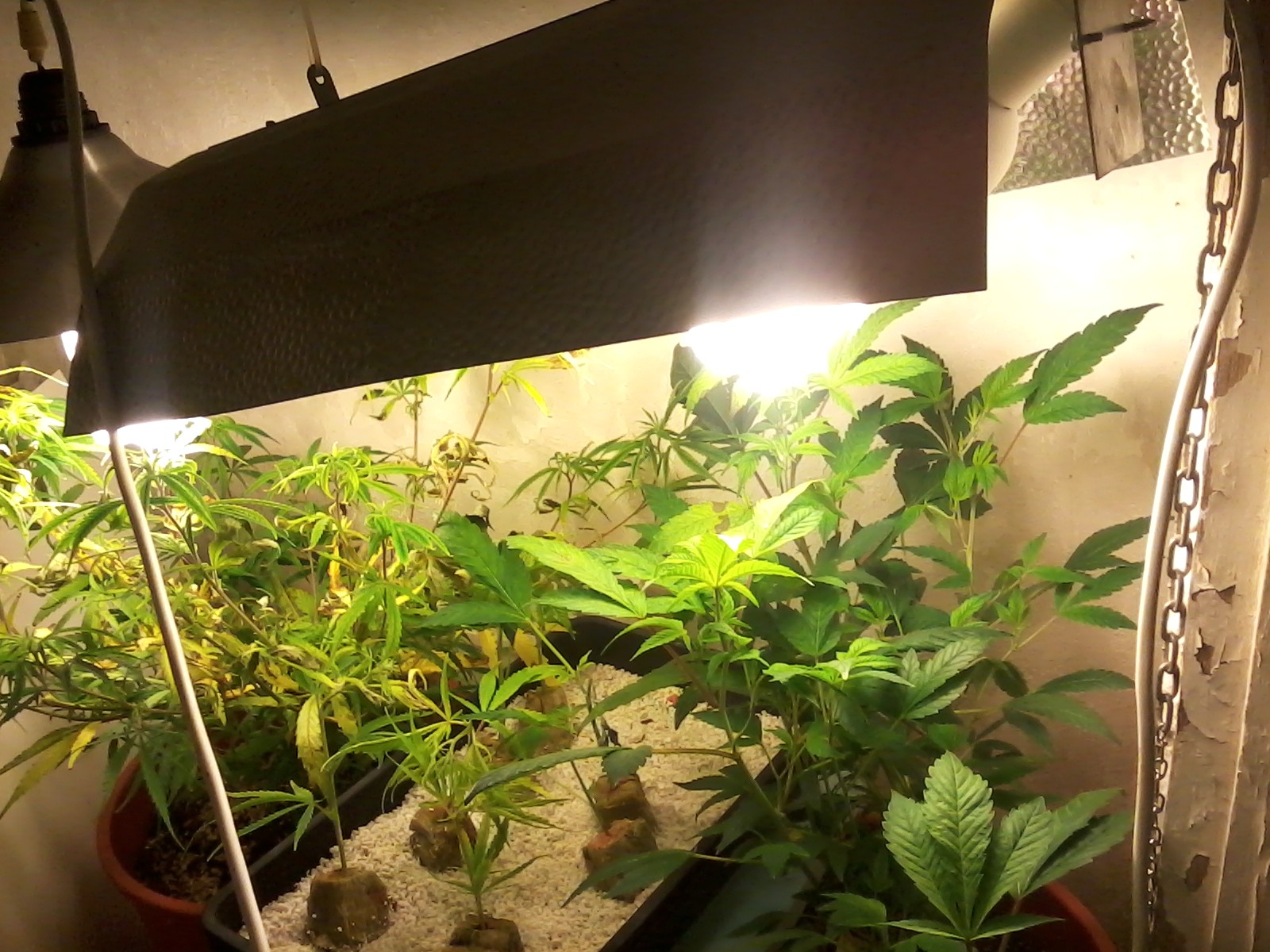 Διαφήμιζε ναρκωτικά σε μαθητές