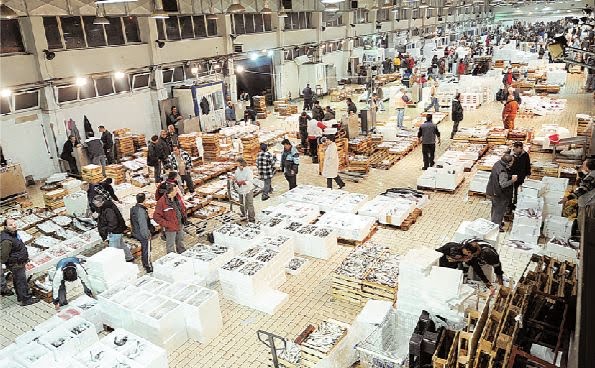 Λαβράκι με εξαφανισμένα τιμολόγια