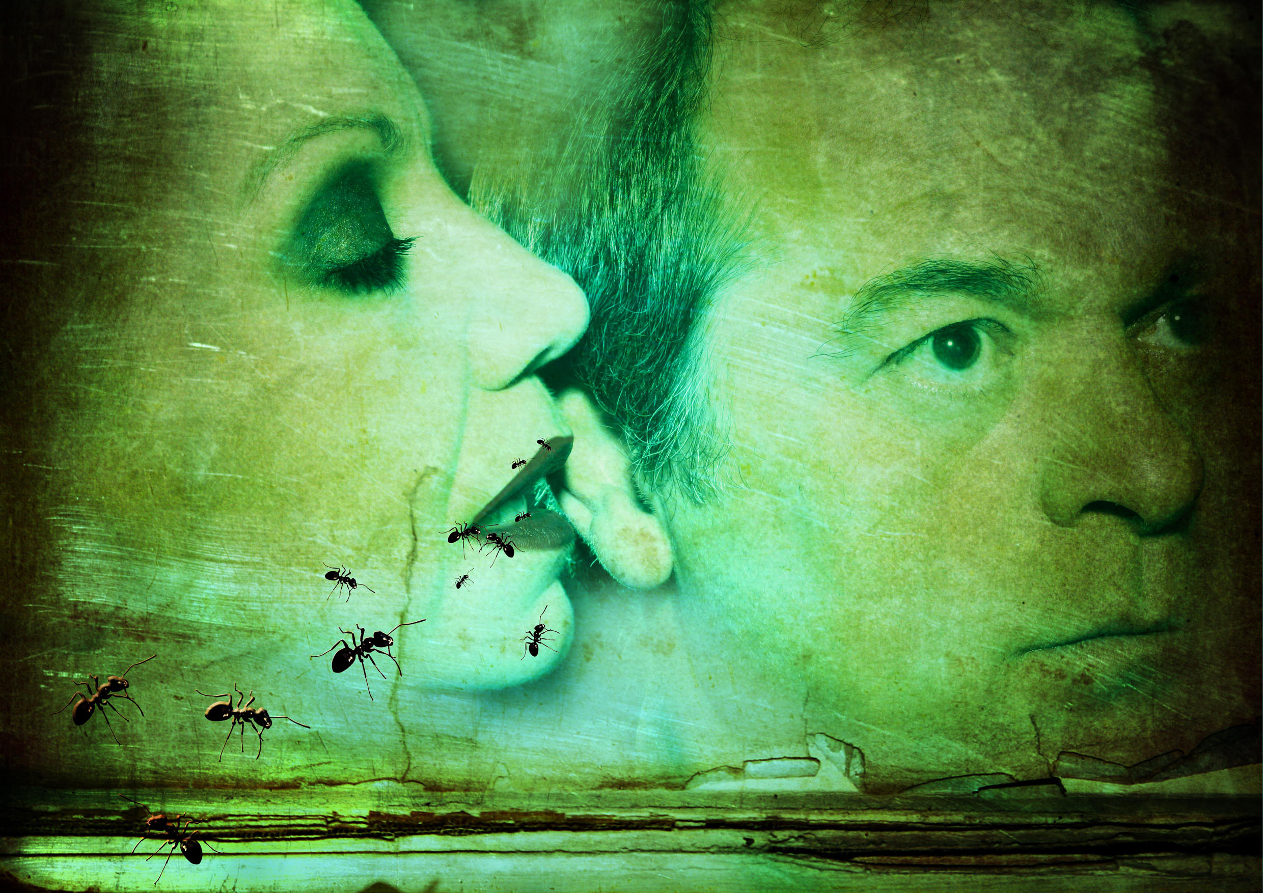 Historia de un amor ή Τα μυρμήγκια