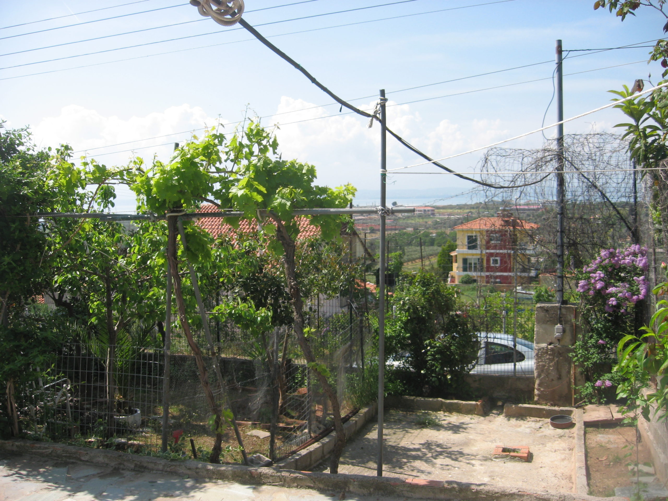 Πτώμα σε αυτοκίνητο