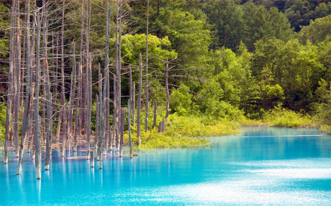 Σώοι οι μαθητές που έπεσαν στο ποτάμι