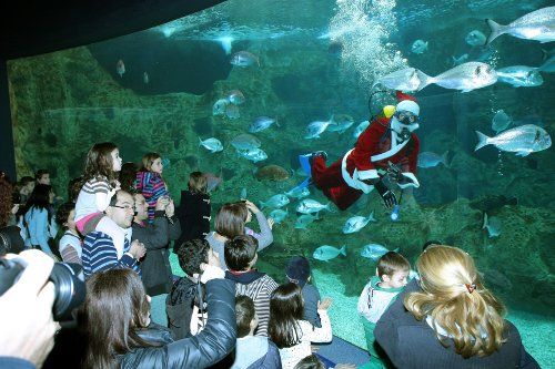 Ο Άγιος Βασίλης στο… ενυδρείο