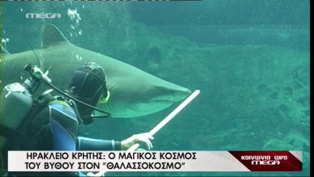 Ραντεβού με τον καρχαρία