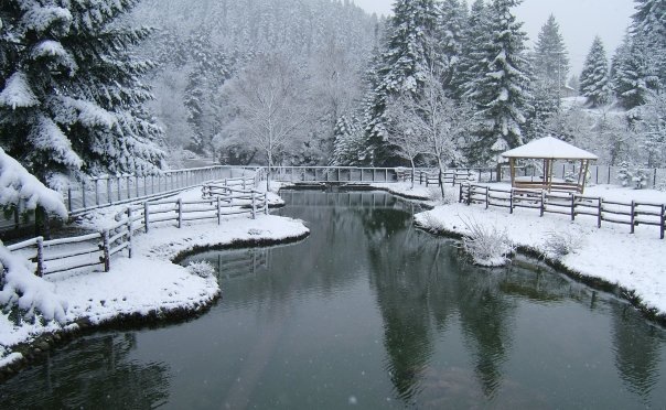 Έντονη χιονόπτωση στα Τρίκαλα
