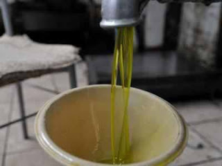 Έκλεψαν 300 κιλά λάδι