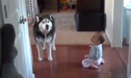 Η …συνομιλία του μπέμπη με τον σκύλο!