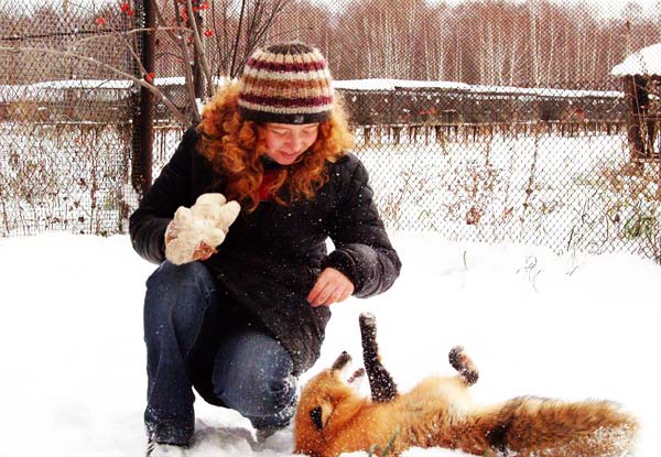 Τι γυρεύει η αλεπού στο… σπίτι;