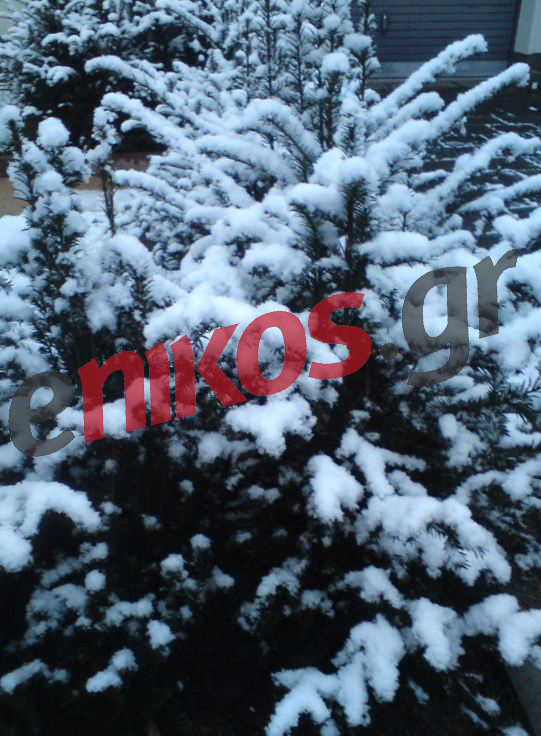 Φωτό-Χιονίζει και στη Φρανκφούρτη