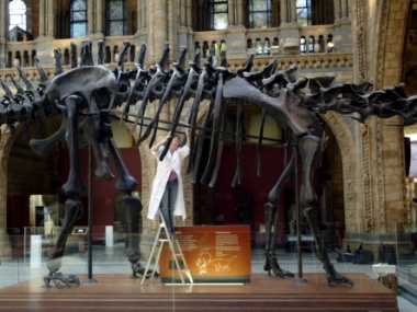 Βρήκαν δεινόσαυρο 245 εκ. ετών…