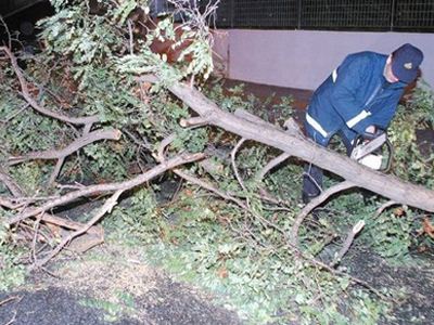 Ο άνεμος έριξε δέντρο σε φορτηγό