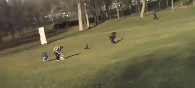 Ψεύτικο το βίντεο με τον χρυσαετό