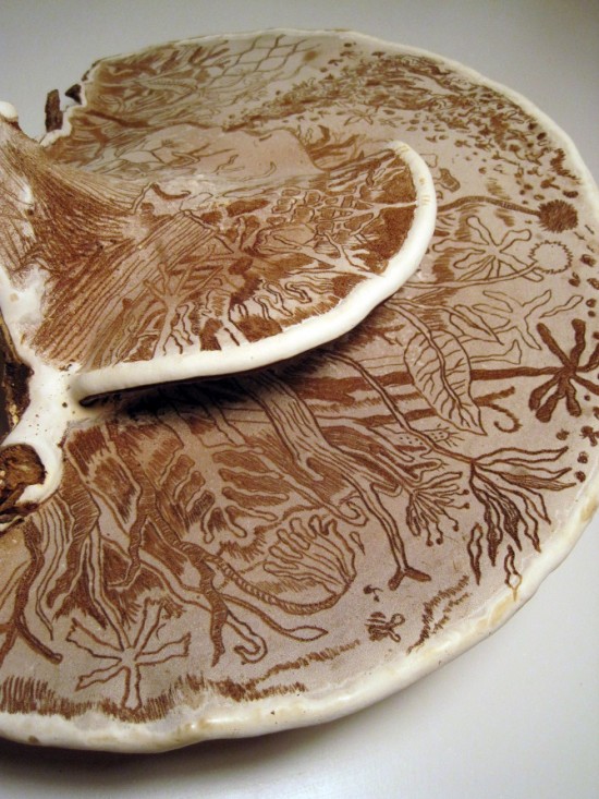 Δες τα μανιτάρια ως… έργα τέχνης