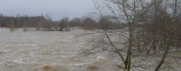 Ανέσυραν νεκρό 16χρονο λαθρομετανάστη