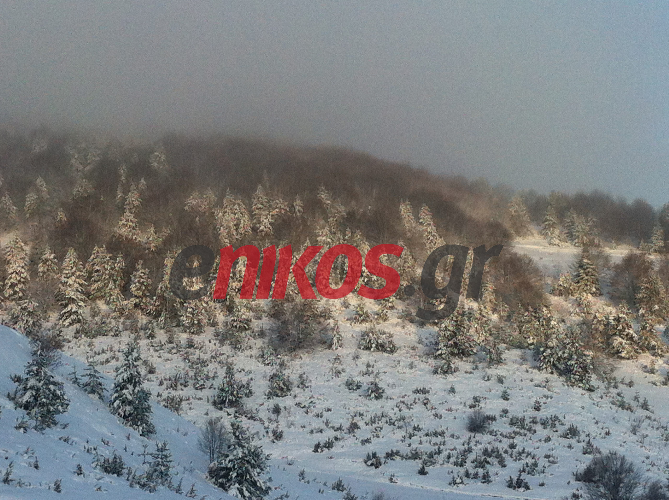 ΦΩΤΟ-Μια ειδυλλιακή «καλημέρα»