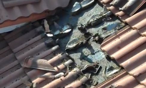 ΒΙΝΤΕΟ-Δεκάδες νυχτερίδες σε στέγη