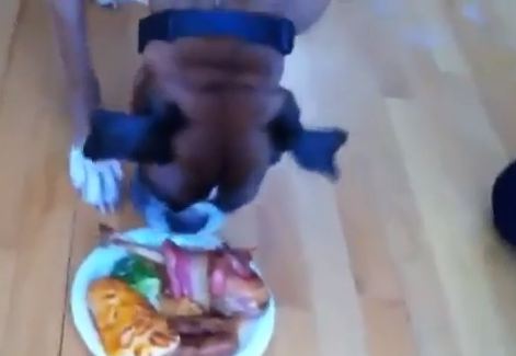 ΒΙΝΤΕΟ – Βασιλικό γεύμα πριν από την ευθανασία