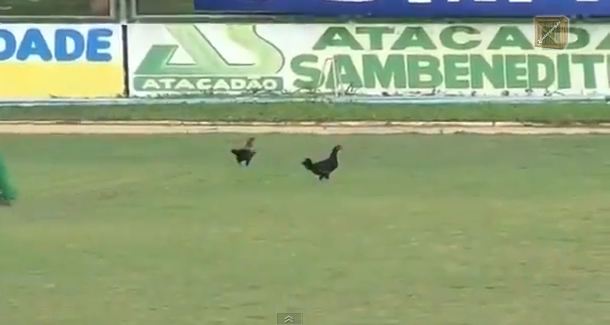 ΒΙΝΤΕΟ- Ποιος είπε”κότες” τα μπακ;