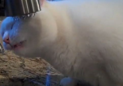 ΒΙΝΤΕΟ-Μία πετσέτα γιατί βράχηκα