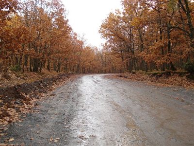 Σε δίκη 6 άτομα για τον δρόμο «φάντασμα»