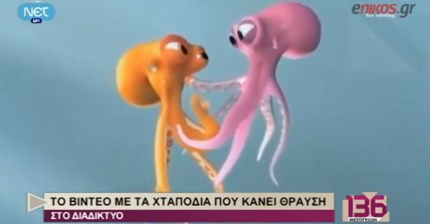ΒΙΝΤΕΟ-Ο έρωτας δύο χταποδιών στη Μύκονο