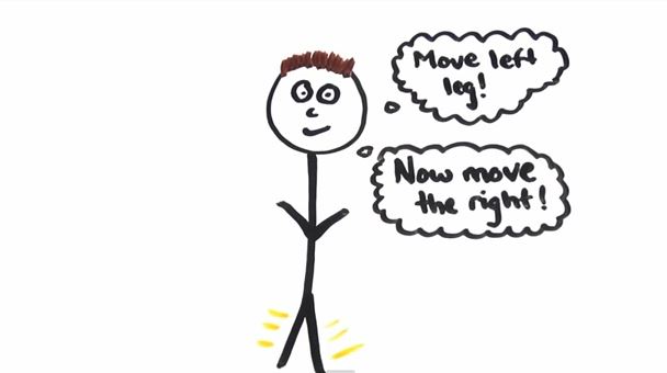 ΒΙΝΤΕΟ- Η λειτουργία του εγκεφάλου