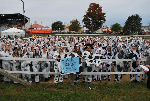 ΦΩΤΟ-Οι άνθρωποι… αγελάδες