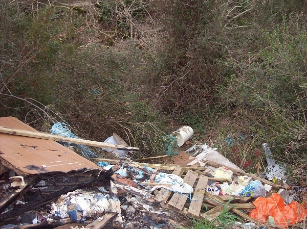 Δάσος-χωματερή στην Πρέβεζα