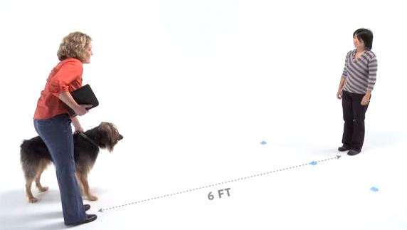 ΒΙΝΤΕΟ-Δείτε αν ο σκύλος σας είναι έξυπνος!