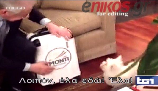 ΒΙΝΤΕΟ- Προεκλογική εκστρατεία αλα.. ιταλικά