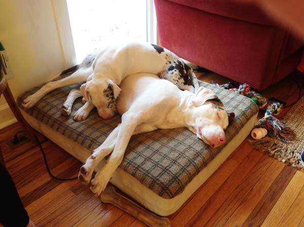 Ο ένας συμπληρώνει τον άλλον