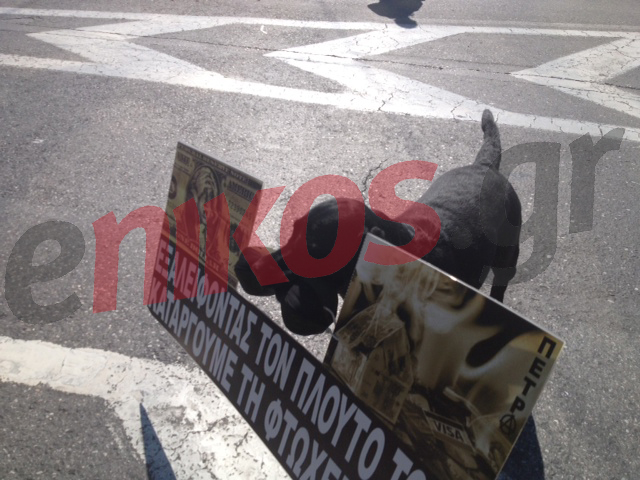 ΦΩΤΟ-Διαμαρτύρεται σκύλος με… πλακάτ