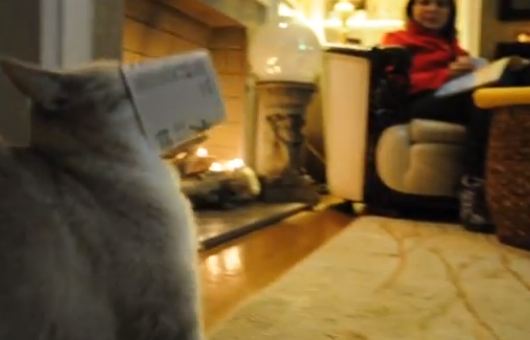 ΒΙΝΤΕΟ:Έπεσε με τα μούτρα στο… φαγητό