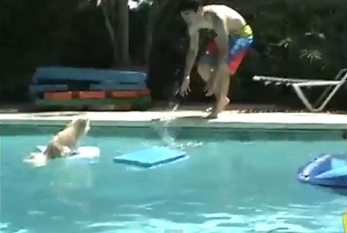 ΒΙΝΤΕΟ-Αυτοί…βουτάνε, εμείς γελάμε