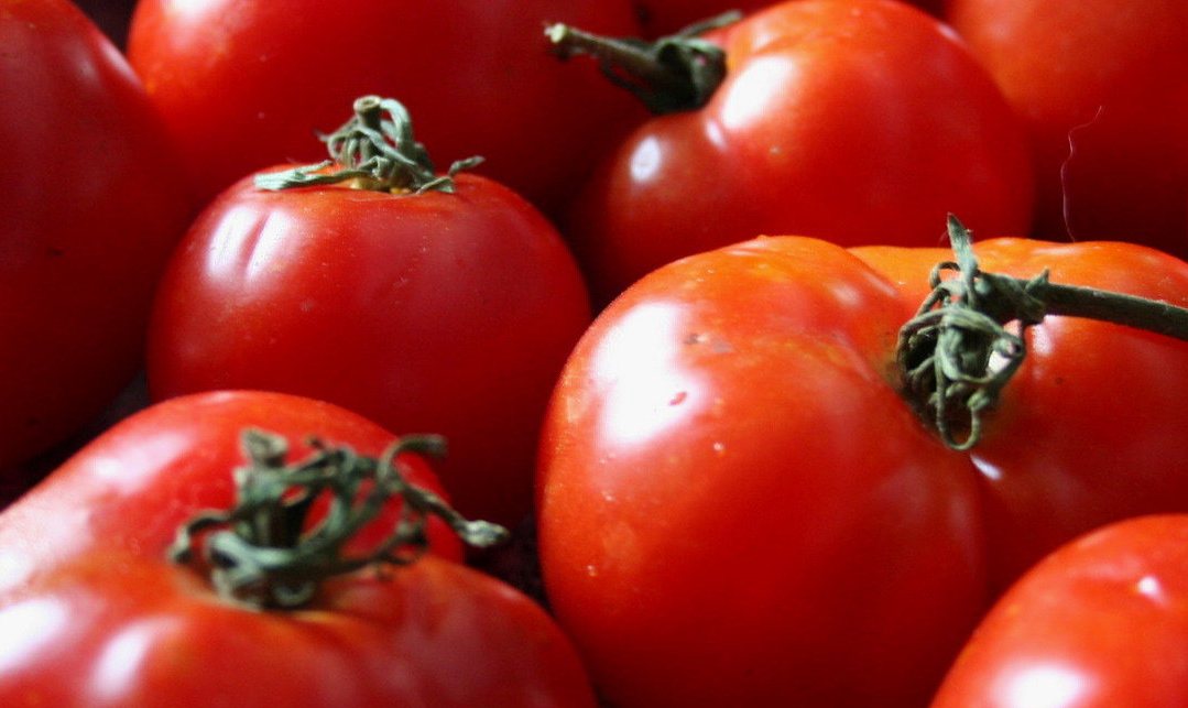 Συμφωνία για την τιμή της ντομάτας