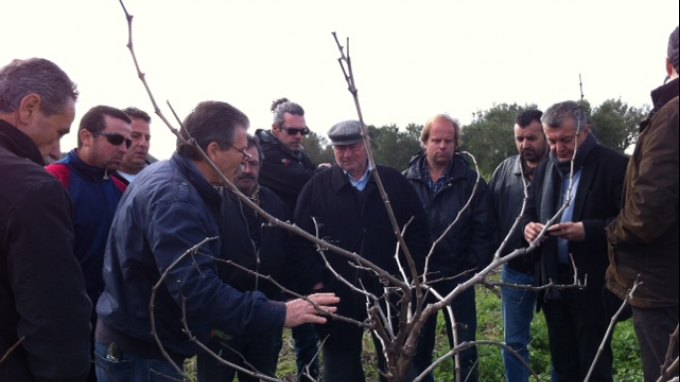 Οι Κρητικοί επιστρέφουν στην Κρήτη