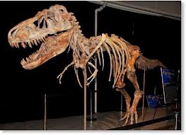 Επιστρέφει στη Μογγολία κλεμμένος δεινόσαυρος