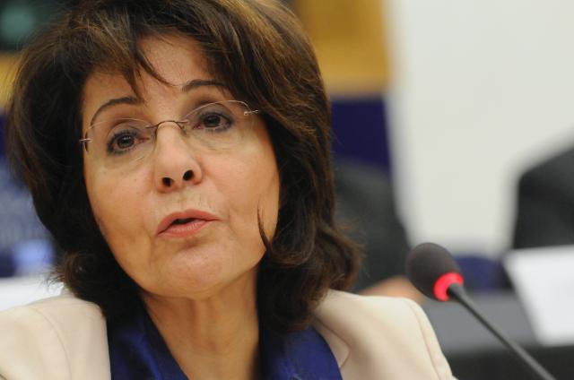 Δαμανάκη: Αναφέρθηκα στη γενική Ευρωπαϊκή πολιτική