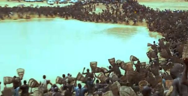 ΒΙΝΤΕΟ: “Μάχη” για μερικά ψάρια!