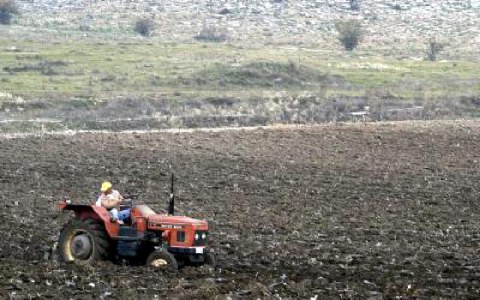 Αγροτικές επιδοτήσεις 65 εκατ. ευρώ
