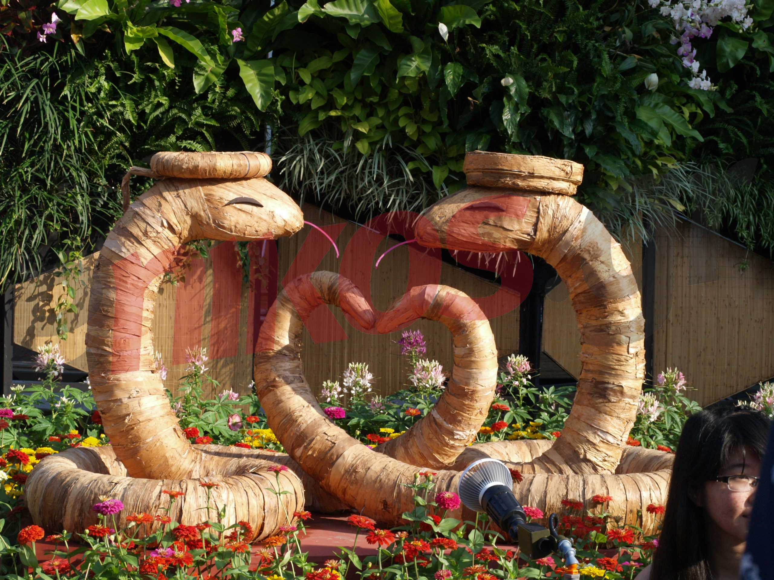 Ο αναγνώστης μας από το Βιετνάμ