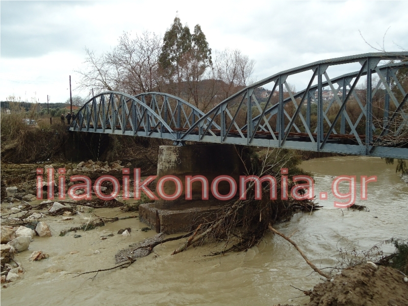 Τα δέντρα έβαλαν «φρένο» στο τρένο