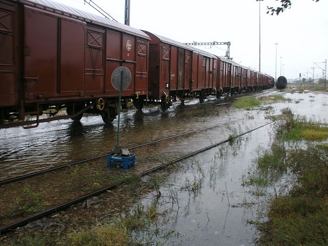 Τον σκότωσε το τρένο