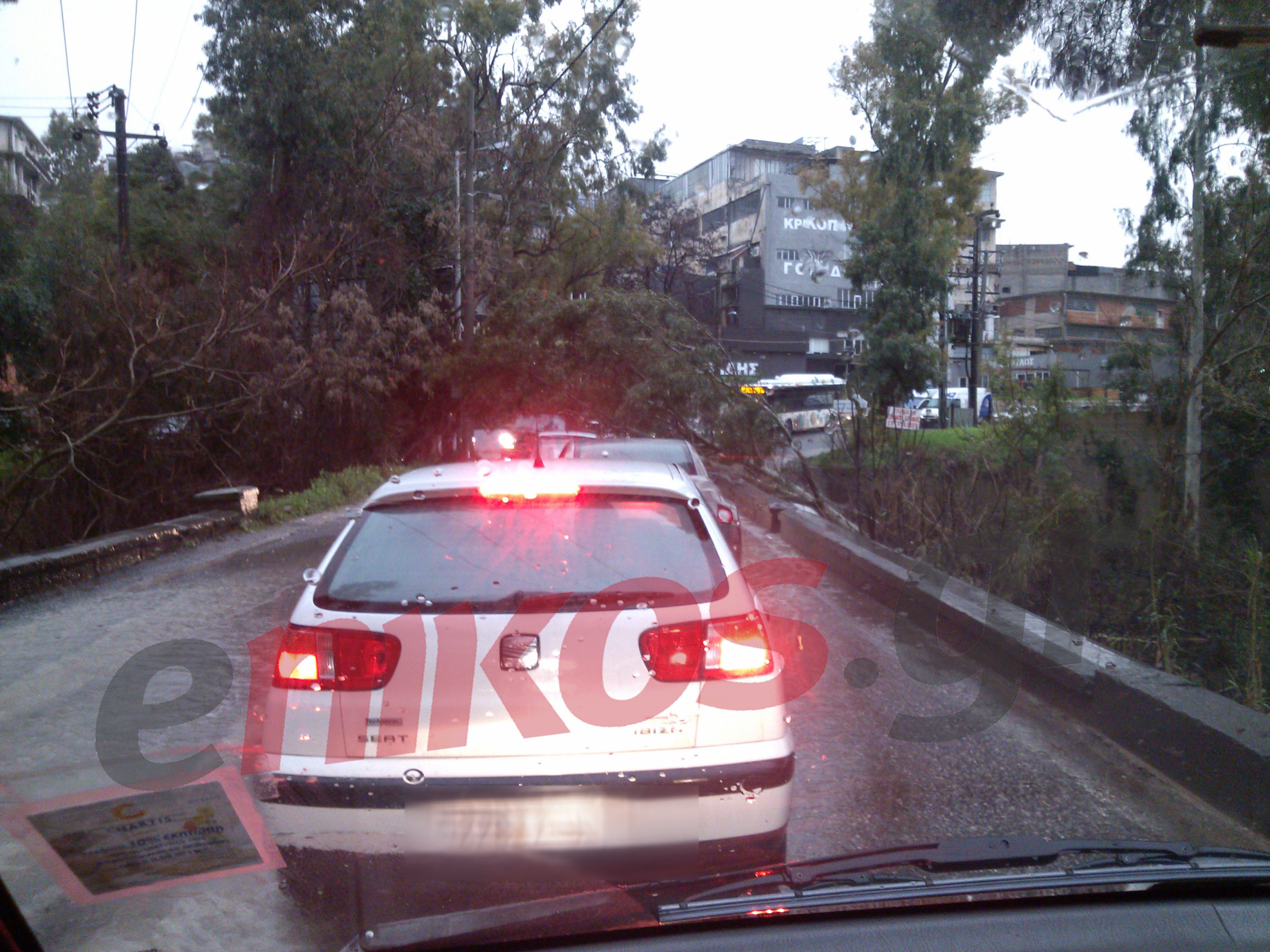 ΦΩΤΟ-Έπεσε δέντρο στη λεωφόρο Καραμανλή