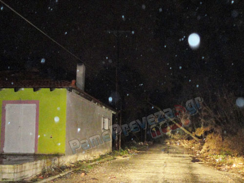 Πρέβεζα: Έπεσε δέντρο σε καλώδια της ΔΕΗ