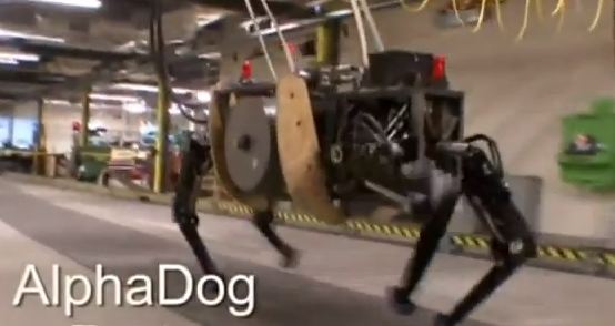 ΒΙΝΤΕΟ-Ο σκύλος …του πολέμου!