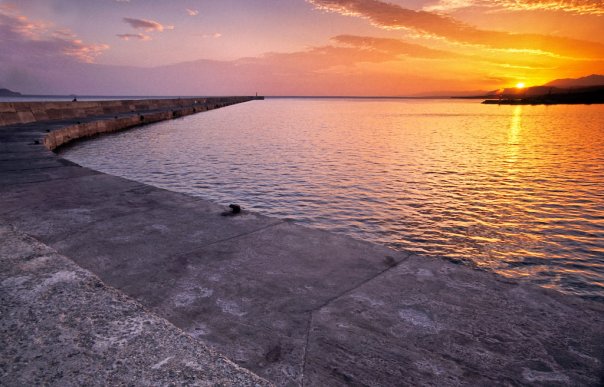 Σκύλος και ιδιοκτήτης στη θάλασσα