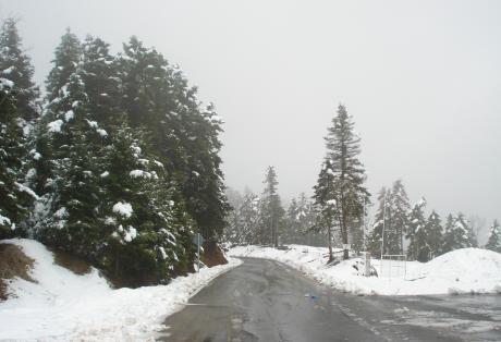 Χιόνια και προβλήματα