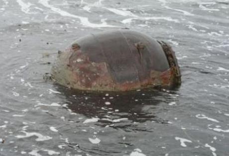 Έκανε μήνυση για την άφαντη νάρκη