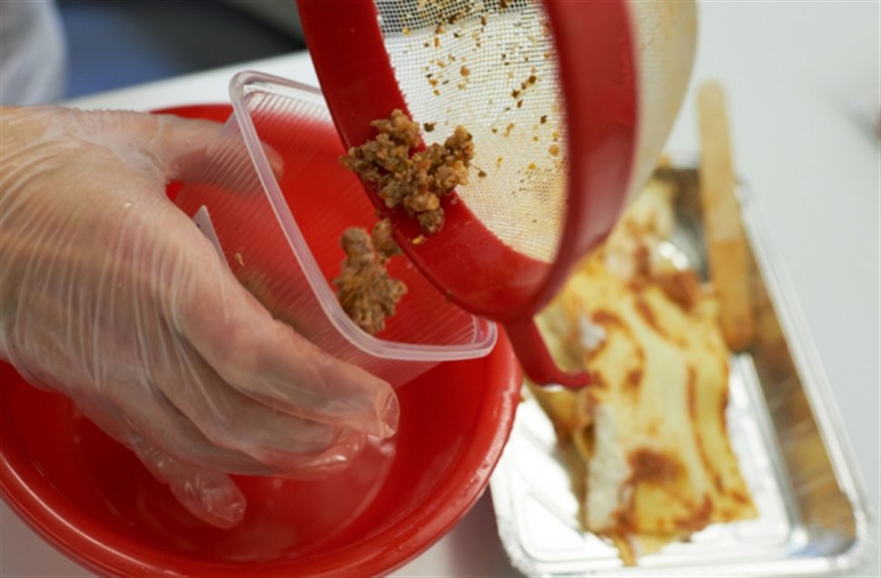 2.250 έλεγχοι για κρέας αλόγου